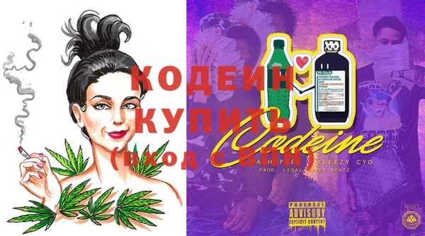 соль ск Абаза