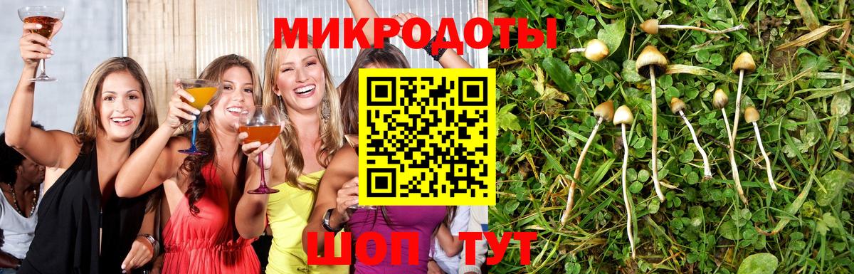 Псилоцибиновые грибы Magic Shrooms Назрань